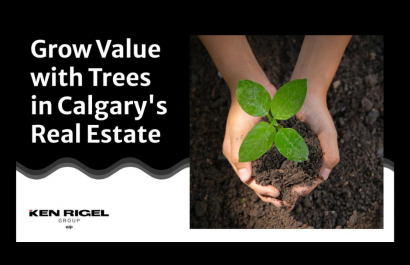 Grow Value with Trees in Calgary's Real Estate